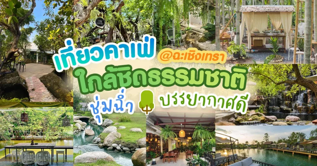 คาเฟ่ ฉะเชิงเทรา BY asia999 slot